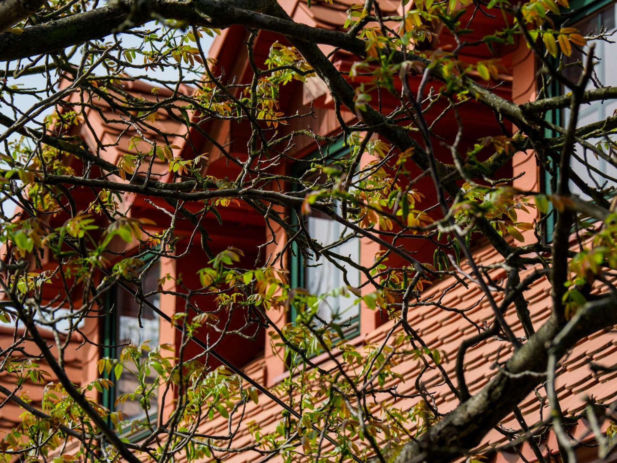 Plonica 1 Hotel Zloty Stok Bagian luar foto